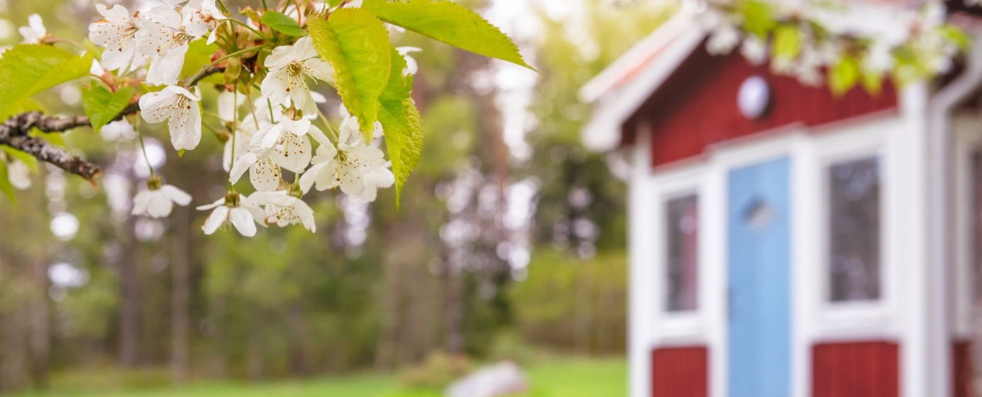 Fritidshus med vårblommor